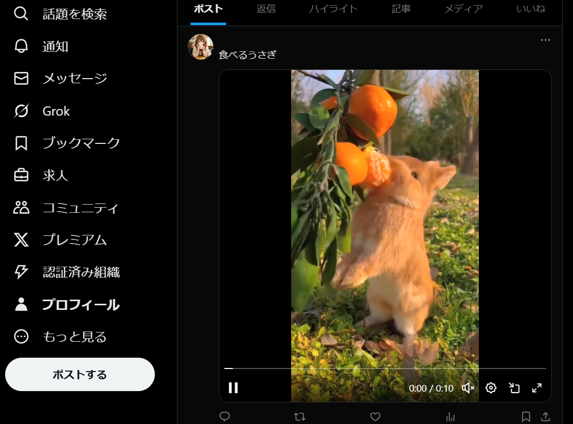 Xに動画を自動投稿している画像
